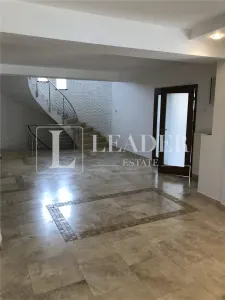 Exclusive Villa for Rent – Iancu Nicolae - foto 8