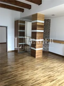 Exclusive Villa for Rent – Iancu Nicolae - foto 9