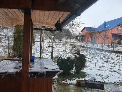 Casă la Padure cu 6 camere de vânzare – Curtea de Argeș, zona Bușaga - foto 4