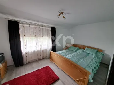 Casa individuala 5 camere platou Trivale - Zona Olteni - foto 5