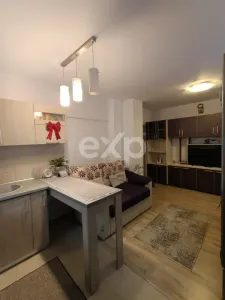 Apartament 3 camere Eremia Grigorescu | Etaj 1/4 - foto 4