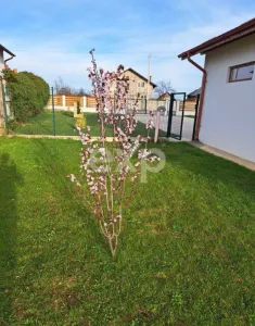 Casă modernă într-un peisaj de vis, situată între Pitești și Vâlcea - foto 3