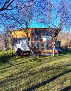 Vând casă bătrânească in Berevoiesti Arges - foto 9