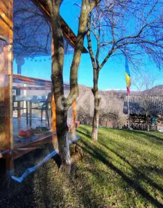 Vând casă bătrânească in Berevoiesti Arges - foto 10