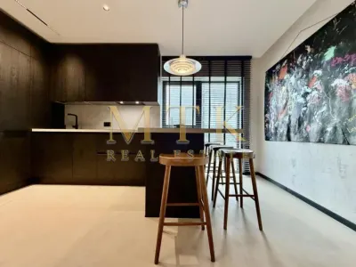 Penthouse de LUX - duplex | 4 camere - Terasa 100 mp | 2 locuri parcare | HERASTRAU - foto 8