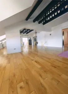 Vila moderna 7 camere | 500 mp utili |  Curte, Teren de Tenis | PIPERA - foto 11
