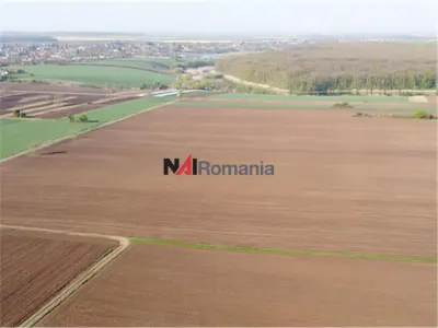 Vanzare Teren Central, Moara Vlasiei - foto 3