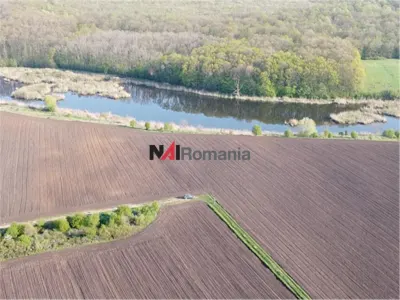 Vanzare Teren Central, Moara Vlasiei - foto 9