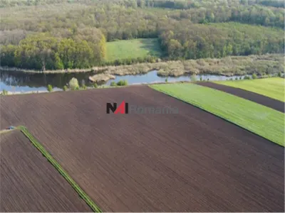 Vanzare Teren Central, Moara Vlasiei - foto 10