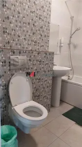 Inchiriere apartament 2 camere aviatiei - foto 9