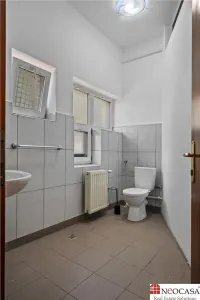 Vila spatioasa langa parcul Herastrau | Spatiu versatil - foto 13