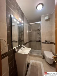 PTA DOMENII, S+P+1+M, 6 CAMERE, RENOVATA, CURTE! - foto 12