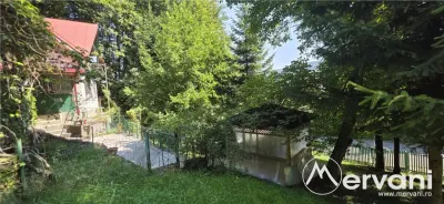 Teren intravilan 979 mp Sinaia, Furnica - foto 2