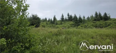 Teren intravilan 4000 mp in Breaza, Nistoresti - foto 8