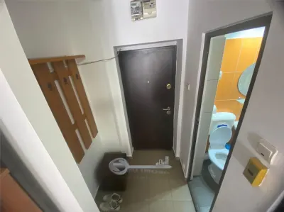 Apartament 1 cameră | Tudor Vladimirescu – Campus Studențesc | Renovat complet | Pet Friendly - foto 13
