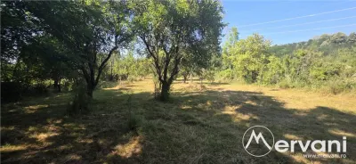 Teren intravilan de vanzare 3375 mp in Brebu - foto 5