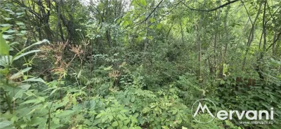 Teren de vanzare 1500 mp in Telega - foto 4