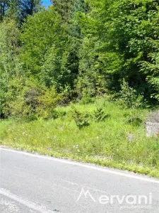 Teren de vânzare în zona Cota 1000 – Sinaia - foto 2