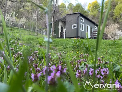 Refugiu in mijlocul naturii - foto 2