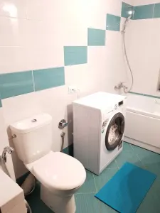 Apartament 1 camera mobilat,utilat - Pacurari - foto 8