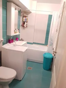 Inchiriere apartament cu 1 camera - Pacurari - foto 7