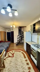 Apartament 2 camere, mansarda,  53,66MP - mobilat - Nicolina 1 - Gara Internationala - foto 4