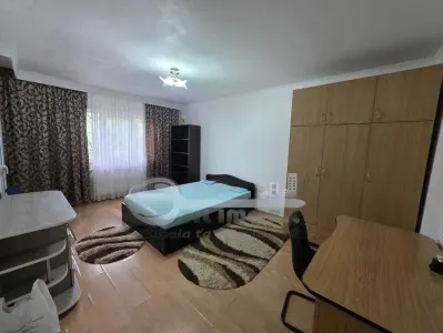 Apartament 1 Cameră Decomandat, 40 mp – Nicolina 1, Str. Sălciilor - foto 1