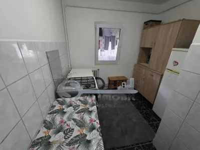 Apartament 1 Cameră Decomandat, 40 mp – Nicolina 1, Str. Sălciilor - foto 3