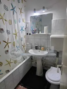 Apartament 1 Cameră Decomandat, 40 mp – Nicolina 1, Str. Sălciilor - foto 4