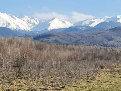 Teren intravilan 2500mp  pe Valea Avrigului,optim casa de vacanta - Porumbacu de Jos