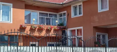 Vila D+P+1+M zona Promenada Mall optima privatizare/clinica medicala - Sibiu