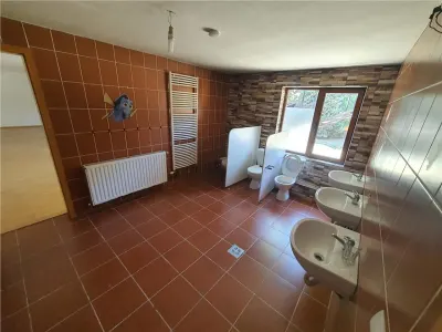 Vilă Spațioasă D+P+1 zona Terezian optima locuinta / sediu firma - foto 21