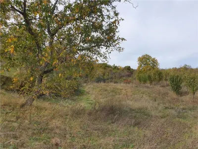 Casă Tradițională Săsească in loc.Aciliu cu 2974mp teren - foto 22