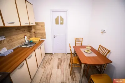 CENTRU, APARTAMENT 2 CAMERE TERMEN LUNG SAU SCURT - foto 7