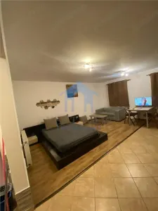 Apartament 1 camera, Buna Ziua - Cluj-Napoca