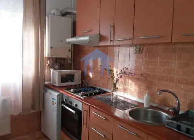 Apartament 2 camere, Plopilor - foto 4
