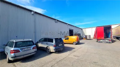 Hale de inchiriat 432 mp Dumbravita - Giarmata Mare - Timisoara
