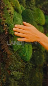 COMISION 0% SAD/Business la cheie SPA Dumbravita padure - foto 5