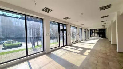 Spatiu SAD de vanzare, Bdul Liviu Rebreanu, COMISION 0 - foto 3
