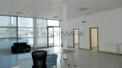 Hala industriala cu Show room de inchiriat , zona  Lugojului - foto 7