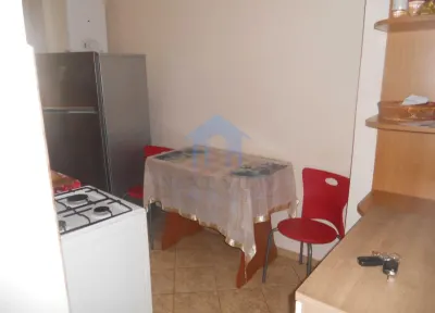 Apartament 1 camera, Horea - foto 8