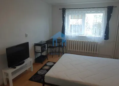 Garsoniera, Gruia, Pet friendly - foto 1