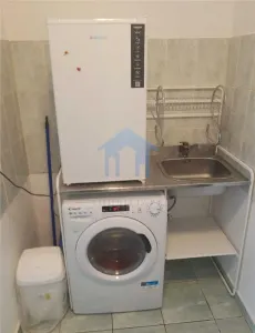 Garsoniera, Gruia, Pet friendly - foto 4