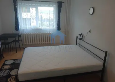 Garsoniera, Gruia, Pet friendly - foto 5