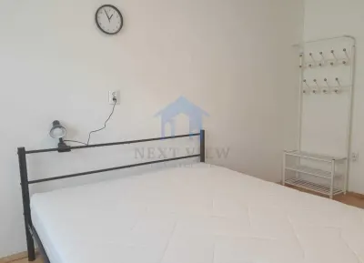 Garsoniera, Gruia, Pet friendly - foto 6