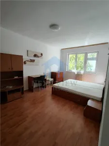 Apartament 1 camera, Gruia - foto 5