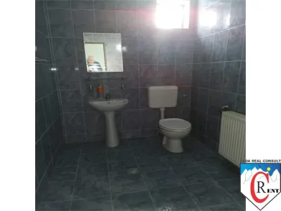 Hala 800mp la sosea intrarea in Sindrilita - foto 6