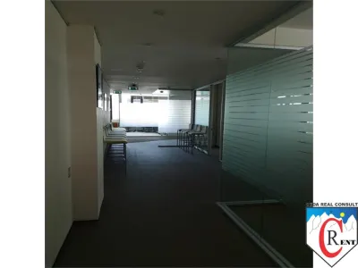 Birouri de inchiriat Iancu de Hunedoara - foto 10