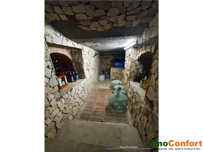 EXCLUSIV! Vila cu 3 niveluri si 1700mp teren in zona Miroslava - foto 10