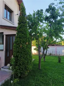 Vila pt 2 familii cu intrari separate - foto 5